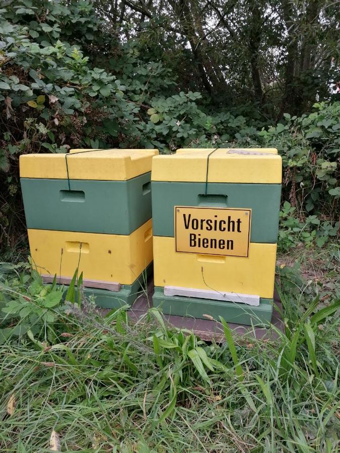 Ferienwohnung Wiesenweg Bad Bederkesa Exterior foto